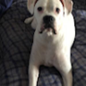 Meet your Posher, Deena